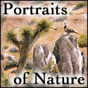 Portraits of Nature