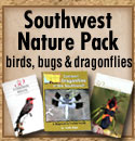 Southwest Nature Pack, Birds, Bugs and Butterflies