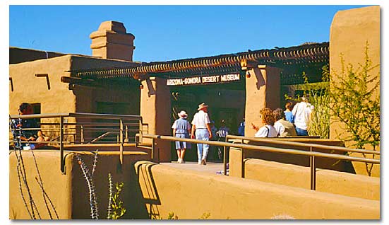 Sonoran Desert Museum