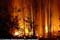 Wildfires