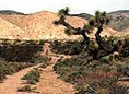 Mojave Road
