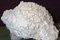 Thunderegg
