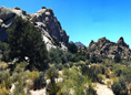 Hidden Valley in Joshua Tree NP