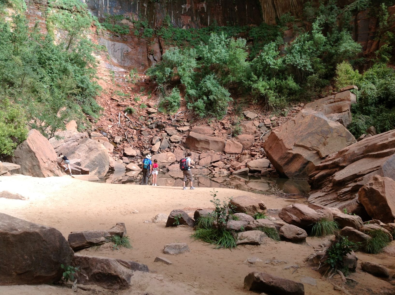 Upper Emerald Pool Trail Reopens At Zion Desertusa